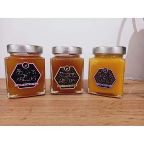 Lot de 3 Miels (acacia, châtaignier, estival) en 300g